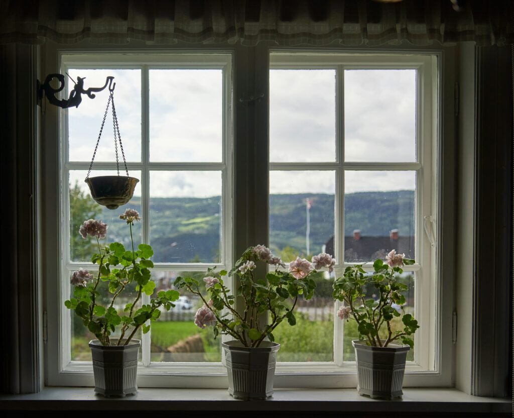 A couple of potted plants sitting on top of a window sill