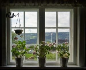 A couple of potted plants sitting on top of a window sill