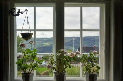 A couple of potted plants sitting on top of a window sill